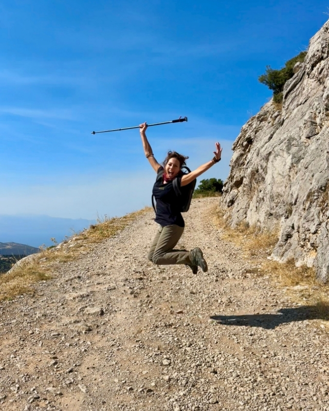 Delphi Transformation
