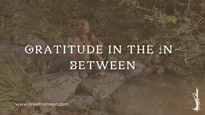 Gratitude In The In Between