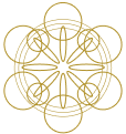 Shape Sould Connection