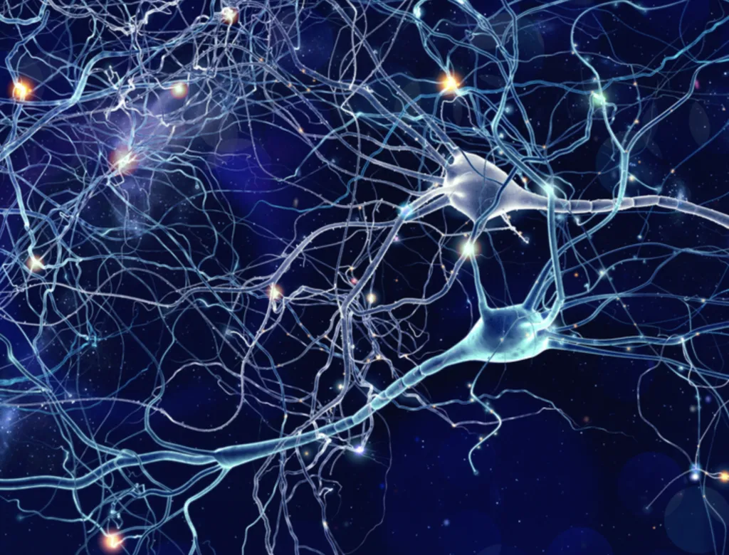 You Are Not Your Brain